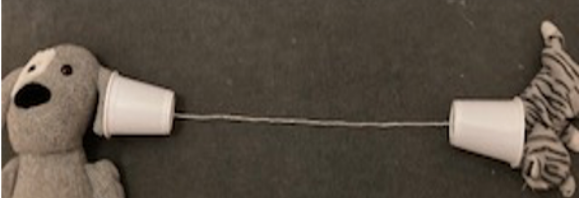 Wonder at the Whipple Yoghurt Pot Telephone University of Cambridge